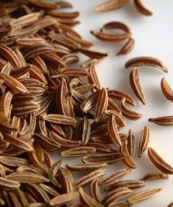 400 CARAWAY Carum Carvi HERB Flower Seeds