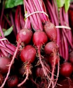 Alternative view of 250 EARLY WONDER BEET Beta Vulgaris Vegetable Seeds