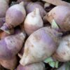3000 LAURENTIAN RUTABAGA Brassica Napus Vegetable Seeds