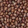 50 ADZUKI BEAN Aduki Red Bean Maroon Phaseolus Angularis Legume Vegetable Seeds