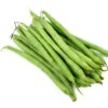 50 BURPEE STRINGLESS Green Pod BEAN French Phaseolus Vulgaris Vegetable Seeds