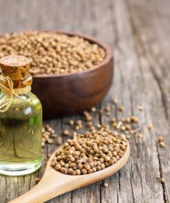 Alternative view of 25 Organic DWARF LEMON CILANTRO Coriander Spice Coriandrum Sativum Fragrant Herb Seeds