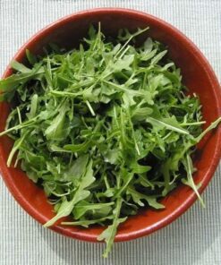 Alternative view of 2000 ROQUETTE ARUGULA aka Rocket / Rucola / Rugula Eruca Vesicaria Sativa Herb Vegetable Seeds