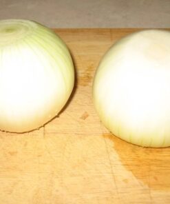 Alternative view of 250 ECLIPSE ONION White Sweet Allium Cepa Vegetable Seeds *Combined Shipping