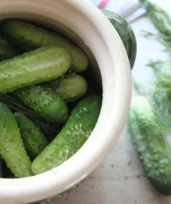 20 Heirloom Bush Pickle Cucumber Seeds - Compact, Green, Non-GMO