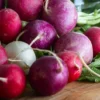 Serendipity Mixed Radish Seeds 100 Heirloom Seeds Colorful & Organic