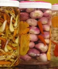 10 Roots Allium chinense Rakkyo - Chinese Onion Plant for Pickling and Culinary Use