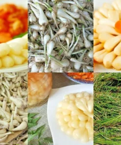 10 Roots Allium chinense Rakkyo - Chinese Onion Plant for Pickling and Culinary Use