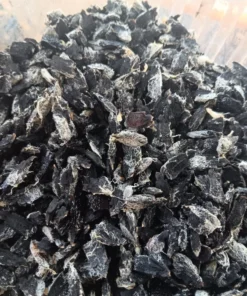 Achocha (Bolivian cucumber) Cyclanthera pedata 20 Seeds