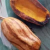 Candystick Dessert Delicata Winter Squash Seeds