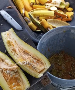 Glabrous Goodness Open-pollinated Zucchini Seeds