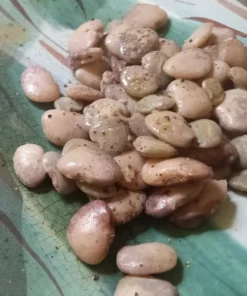 Minnie Butterbean (Phaseolus lunatus) Heirloom Pole Lima (30 Seeds)