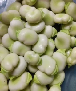 Vroma Fava Bean (Broad Bean - Vicia faba) (30 Seeds)