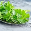 10,000+ BULK CELERY SEED | Microgreen Vegetable Seeds for Sprouting or Planting