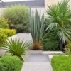 15 Blue Dracaena Seeds (Cordyline indivisa) | 'Lil' Palm, Evergreen w/ Blue Hue