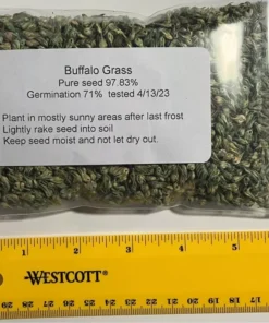2 Oz Buffalo Grass Seed Native Prairie Sedge Low Maintenance Drought Heat Turf - Grass Seeds For Lawn