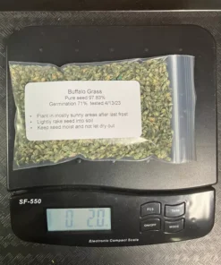 2 Oz Buffalo Grass Seed Native Prairie Sedge Low Maintenance Drought Heat Turf - Grass Seeds For Lawn