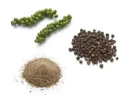 20 Black Peppercorn (Piper nigrum) Vine Seeds, Medicinal