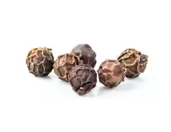 20 Black Peppercorn (Piper nigrum) Vine Seeds, Medicinal