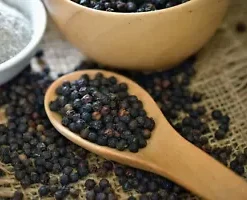 20 Black Peppercorn (Piper nigrum) Vine Seeds, Medicinal