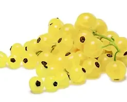 20 Golden Currant Berry Seeds (Ribes Aureum) Edible Fruit Bush, Vine