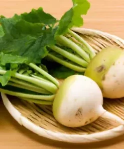 3,000 BULK SHOGOIN TURNIP SEED | Microgreen Vegetable Seed - Sprouting or Garden