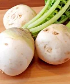 3,000 BULK SHOGOIN TURNIP SEED | Microgreen Vegetable Seed - Sprouting or Garden