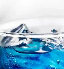 50+ Blue Raspberry Bush Seeds SWEET EDIBLE Berry Fruits,