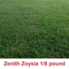Zenith Zoysia Grass Seeds 1/8 Of A Pound (2 Ounces ) - Grass Seeds For Lawn