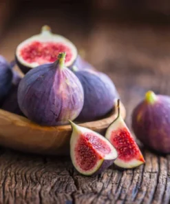 Brown Turkey Fig Tree - 2ft Potted Plant - 1 Gallon Size