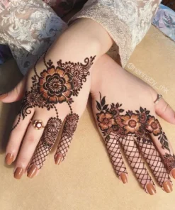 Henna Mehndi Plant - 8-12 Inches - Natural Dye Source