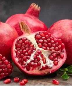 Pomegranate Plant - 4in Pot, 8-10in Tall - Grow Fresh Pomegranates
