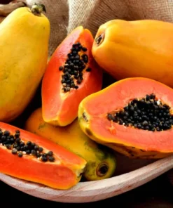 Supper Sweet Papaya Plant - 3.5 inch Pot - 8-12 inch Tropical Fruit Tree