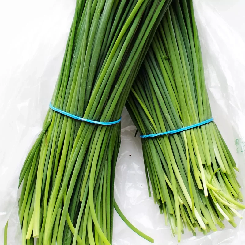 Chives Herb Plant 4in Starter Size Easy to Grow Fresh