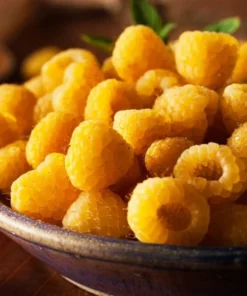 Everbearing Raspberry - Fallgold Raspberry Plant - Rubus Idaeus - Yellow Raspberry - Raspberry Plants Live For Planting - Raspberry Bush