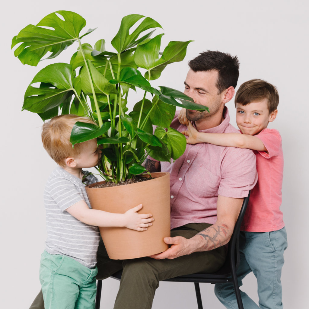 FATHER DAY GIFT plant - best garden seed
