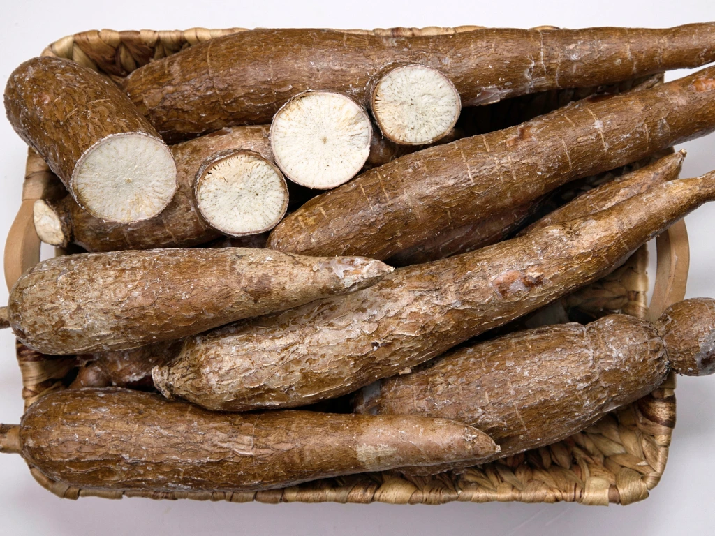 How to Grow Cassava from Cuttings: Easy Way to Start Your Own Tapioca Plant