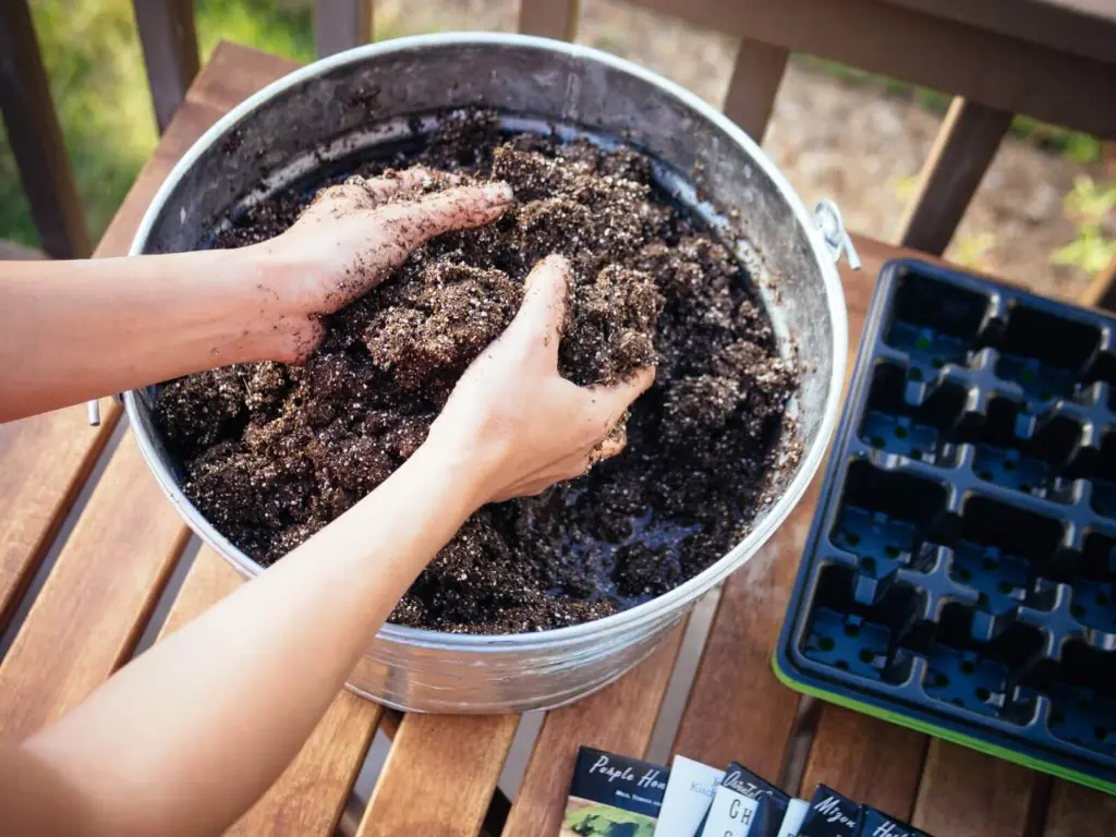 10 Tips for Growing Beautiful Cut Flowers from Seed at Home