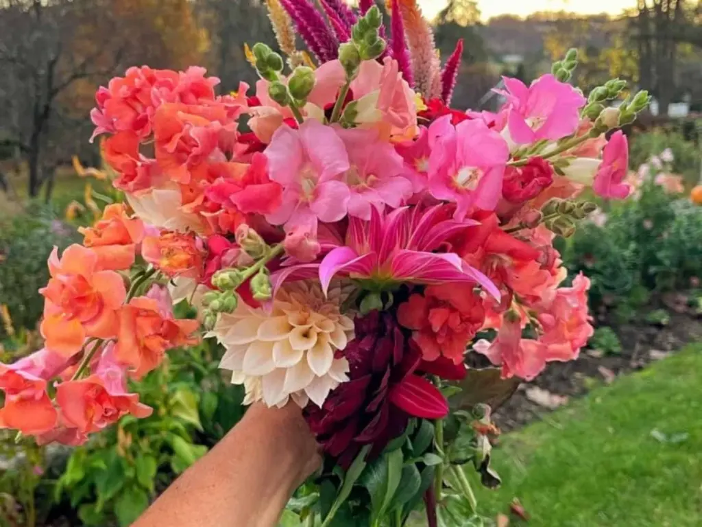10 Tips for Growing Beautiful Cut Flowers from Seed at Home