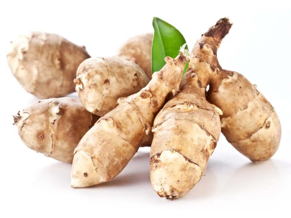 Fresh Jerusalem artichoke tubers