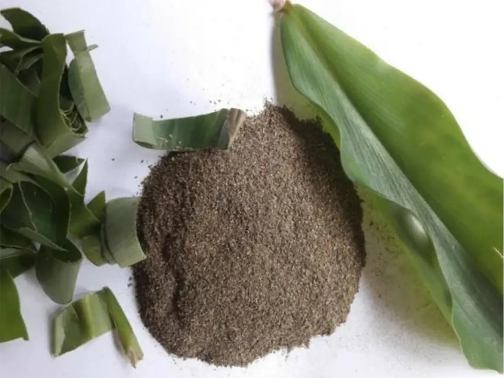 How to Grow Insulin Plant from Roots: Step-by-Step Guide