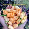Jays Peach Ghost Scorpion Pepper Seeds - Super Hot Variety
