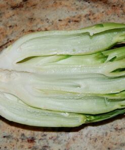 Alternative view of 250 CICORIA CATALOGNA Puntarelle Chicorium Chicory Vegetable Seeds