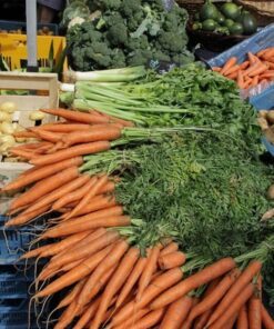 Alternative view of 1500 TENDERSWEET CARROT Deep Orange Red Daucus Carota Vegetable Seeds