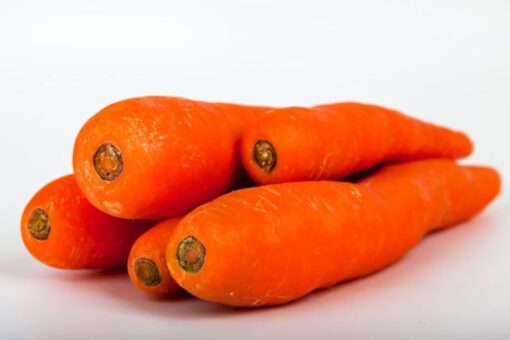1500 DANVERS CARROT Dark Orange Daucus Carota Vegetable Seeds