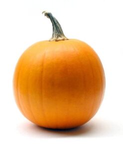 Alternative view of 25 MAMMOTH GOLD PUMPKIN Cucurbita Maxima Carving Pie Vegetable Seeds