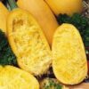 50 VEGETABLE SPAGHETTI SQUASH Winter Cucurbita Pepo Seeds