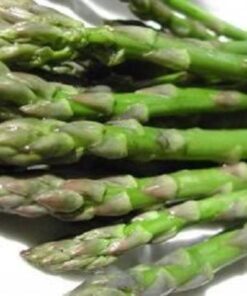 Alternative view of 100 MARY WASHINGTON ASPARAGUS Officinalis Perennial Vegetable Seeds