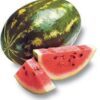 100 CRIMSON SWEET WATERMELON Citrullus lanatus Fruit Melon Seeds