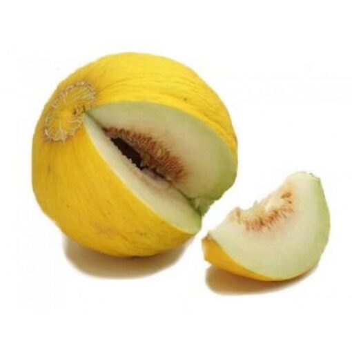 50 Golden Beauty CASABA MELON Cucumis Melo Fruit Seeds Comb S/H